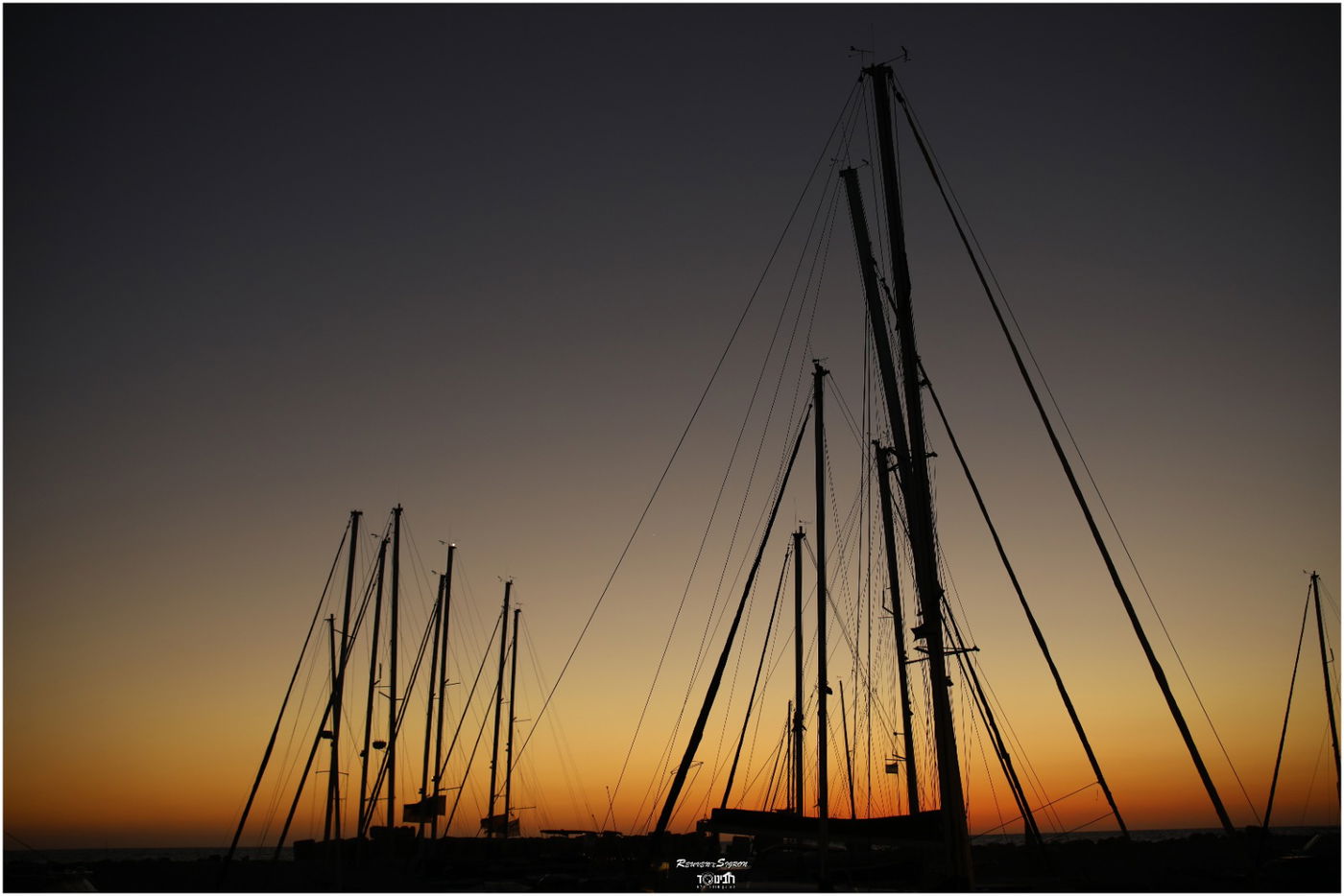 גלריה קיצית: החופש של נמל יפו העתיקה