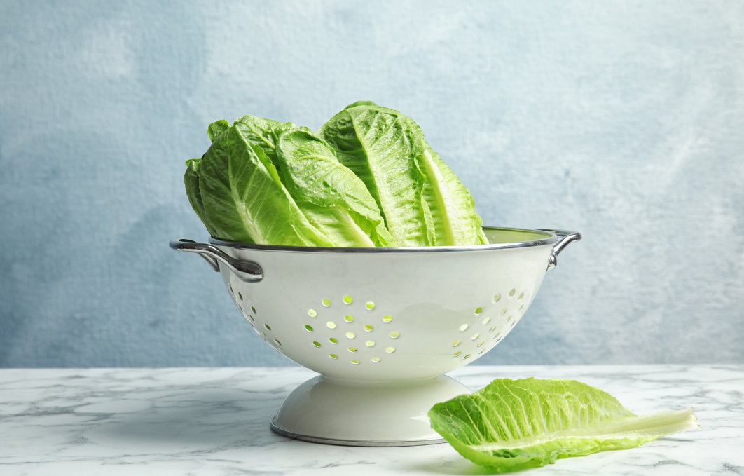 תה חסה: הטרנד הוויראלי שעושה סוף לנדודי השינה