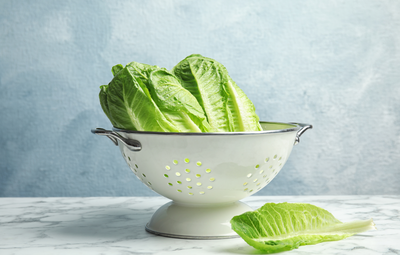 תה חסה: הטרנד הוויראלי שעושה סוף לנדודי השינה