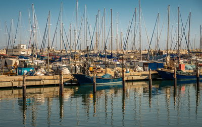 המרינה באשקלון