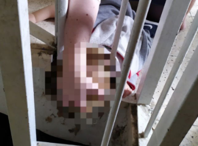 אילוסטרציה