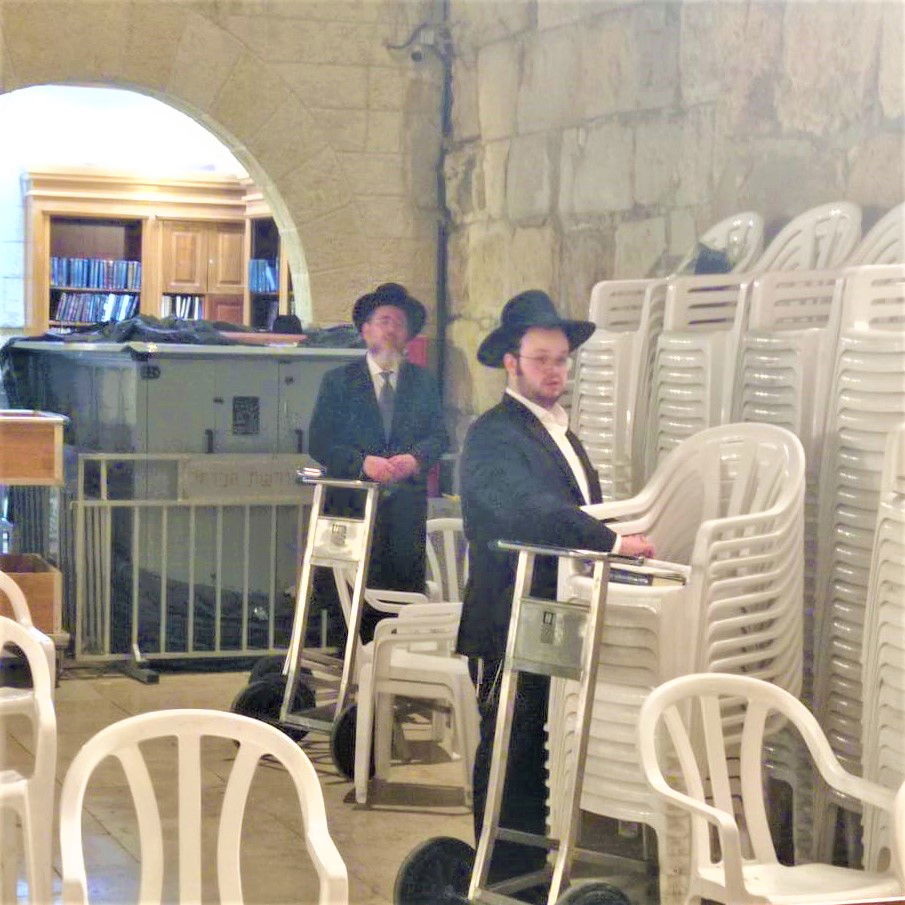 זופניק בכיכר • כל התמונות והנייעס של השבוע