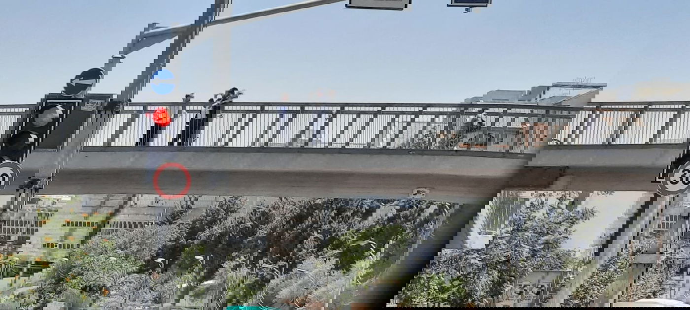 זופניק בכיכר • כל התמונות והנייעס של השבוע