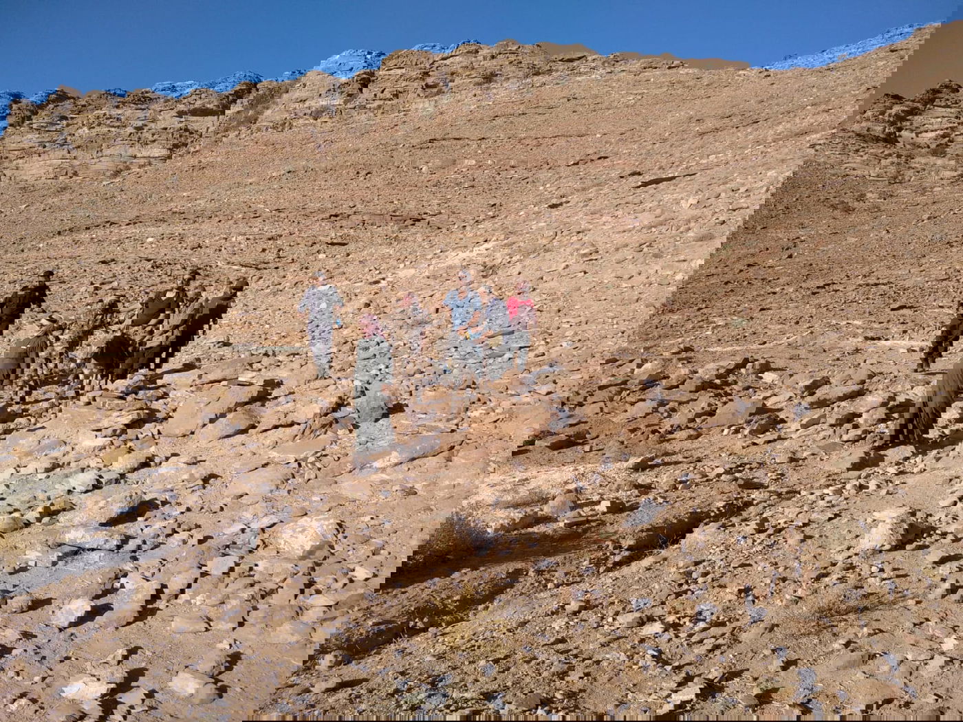 הילולת אהרן הכהן: עלו לקבר עם חמורים • תיעוד
