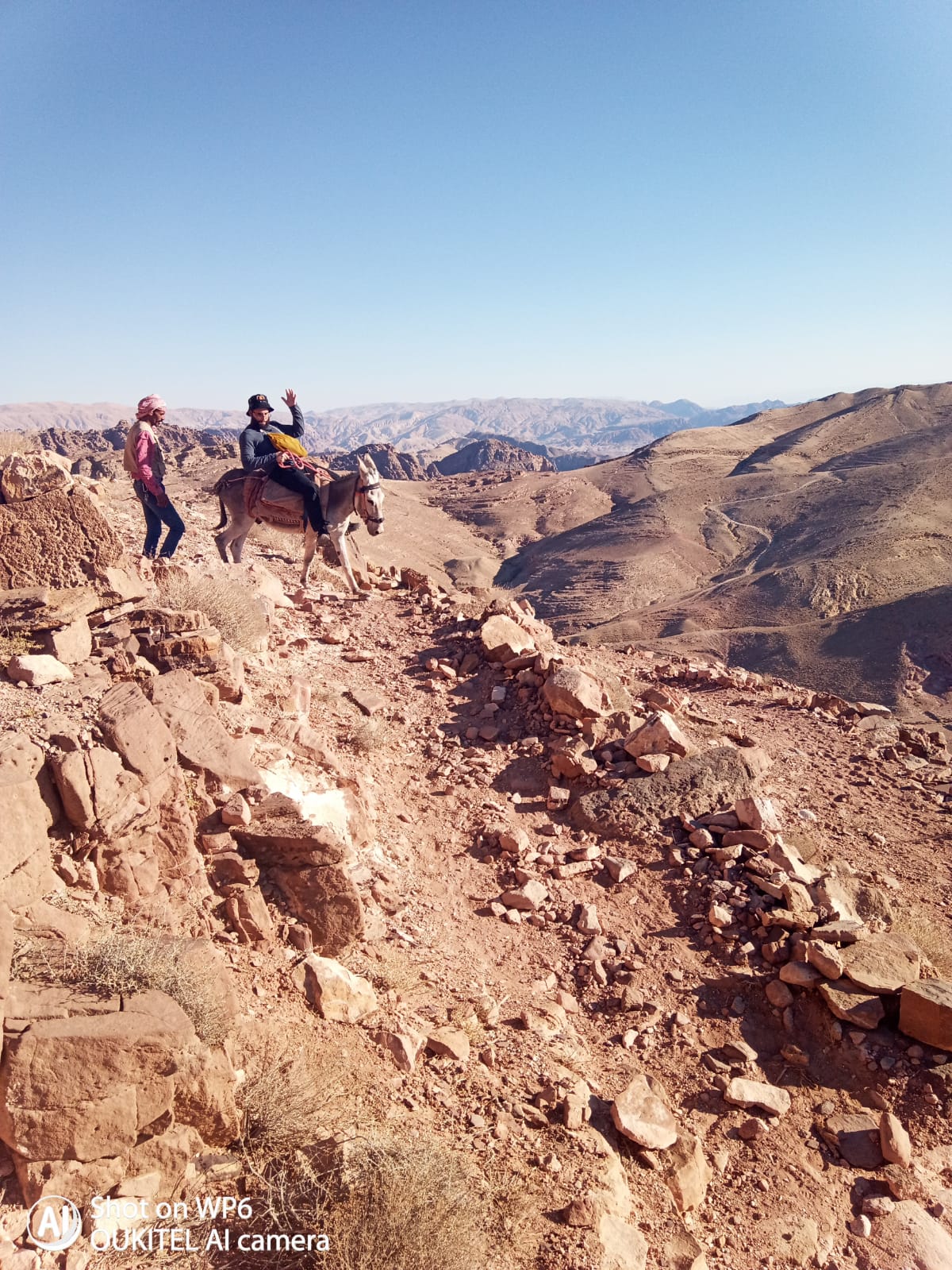 הילולת אהרן הכהן: עלו לקבר עם חמורים • תיעוד