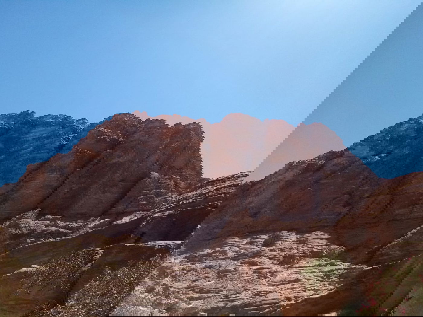 הילולת אהרן הכהן: עלו לקבר עם חמורים • תיעוד