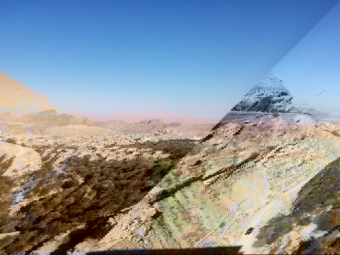 הילולת אהרן הכהן: עלו לקבר עם חמורים • תיעוד