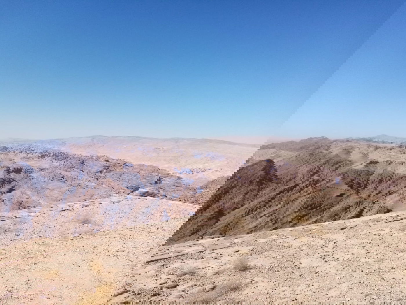 הילולת אהרן הכהן: עלו לקבר עם חמורים • תיעוד
