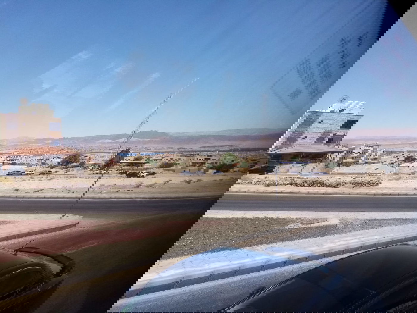 הילולת אהרן הכהן: עלו לקבר עם חמורים • תיעוד