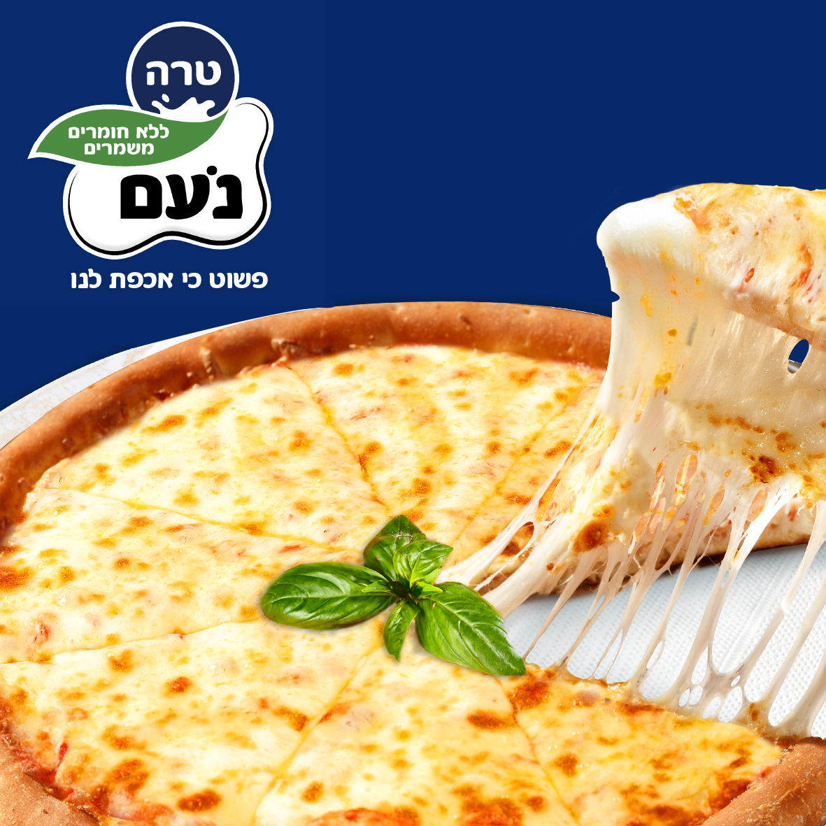 קונים מוצרי 'טרה', מתקשרים לטלמסר ויכולים לקבל פיצה משפחתית חמה וטעימה עד הבית!