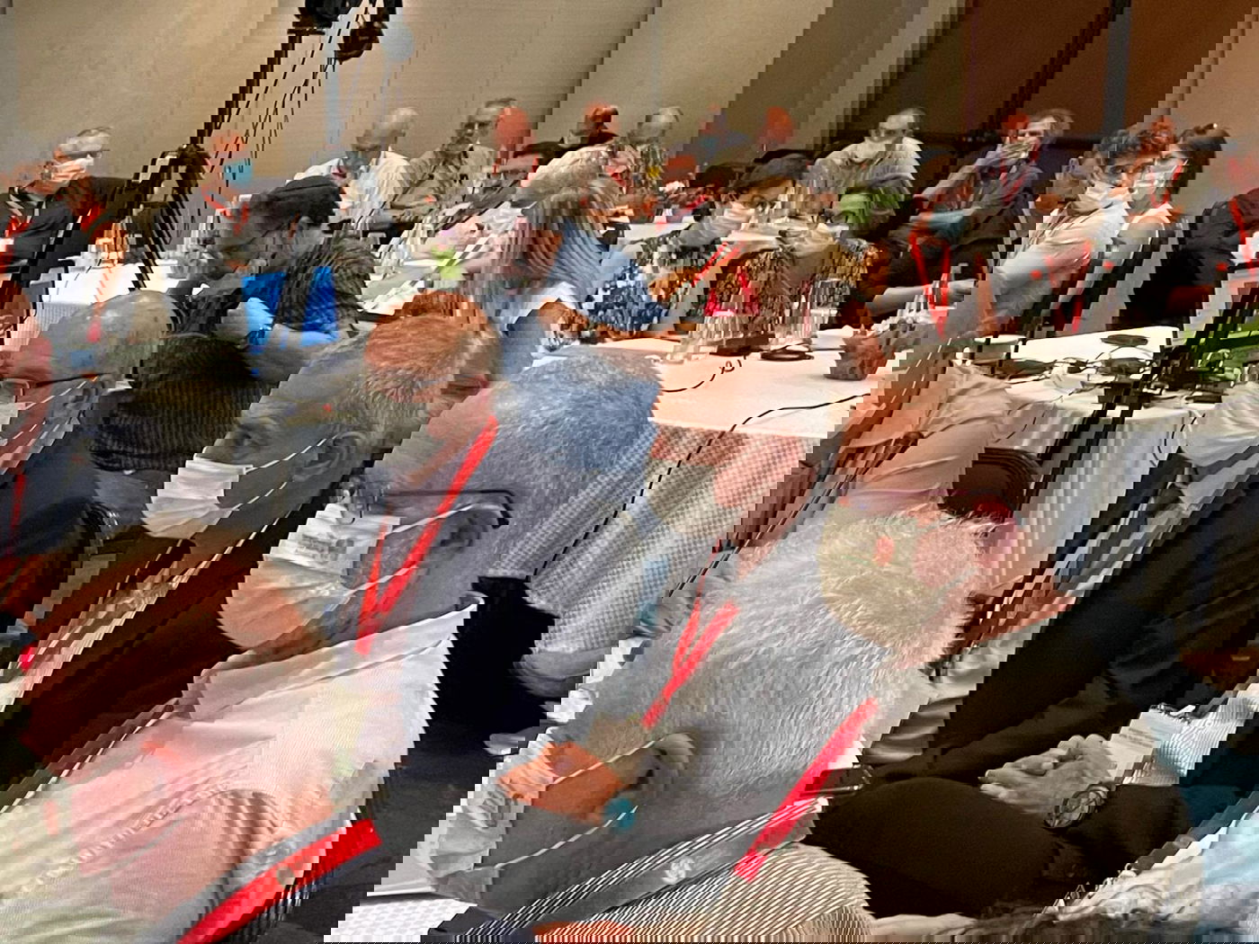 הפרופ' אש והפרופ' לוי