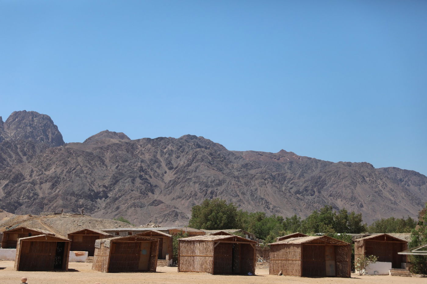 חופשה בסיני בעדשה של חיים גולדברג • צפו