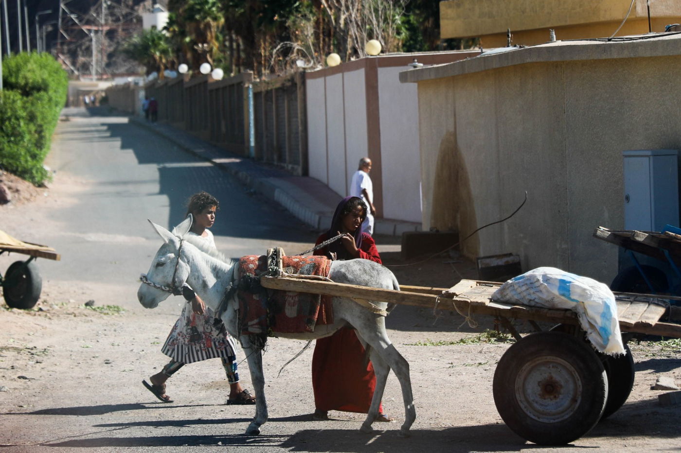 חופשה בסיני בעדשה של חיים גולדברג • צפו