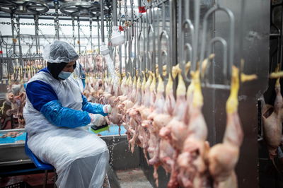 עופות במשחטה בעטרות