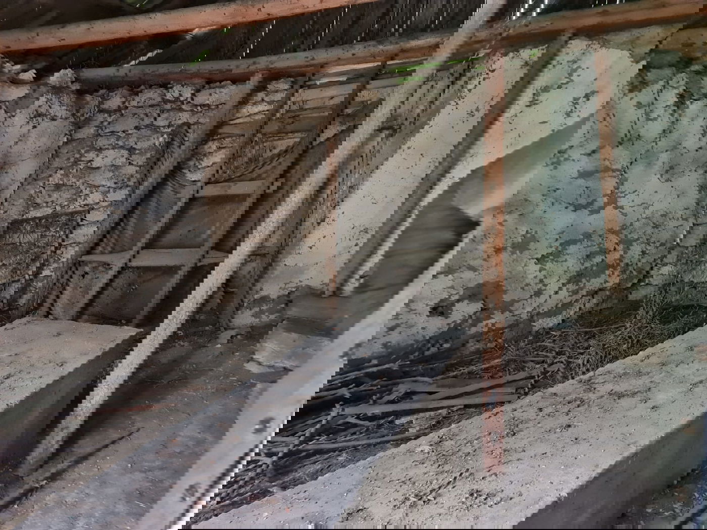 כך התגלה חדר הטהרה העתיק ברשקוב • צפו