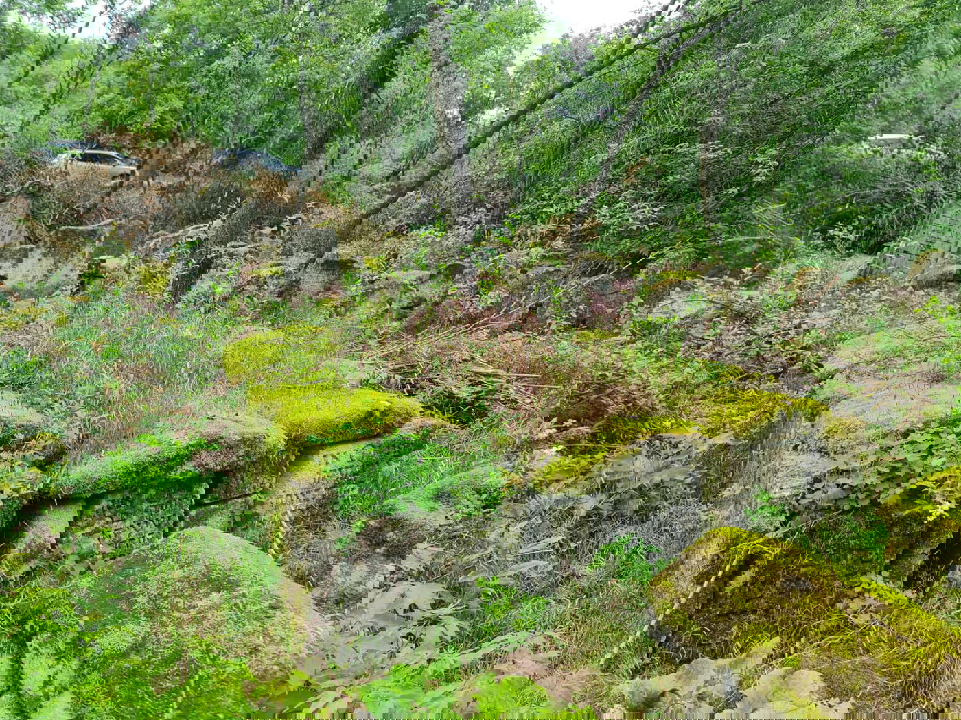 כך התגלה חדר הטהרה העתיק ברשקוב • צפו