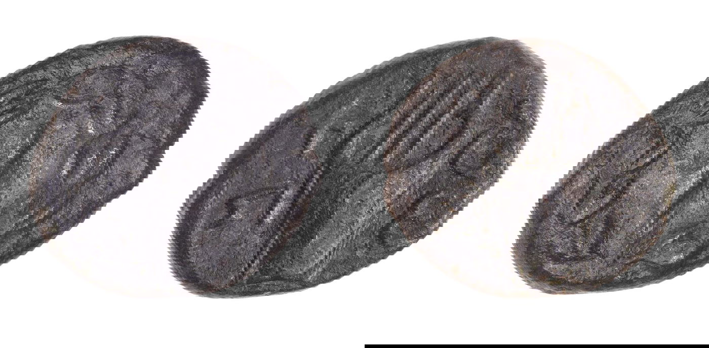 במערה באזור בנימין: התגלו מטבעות נדירים