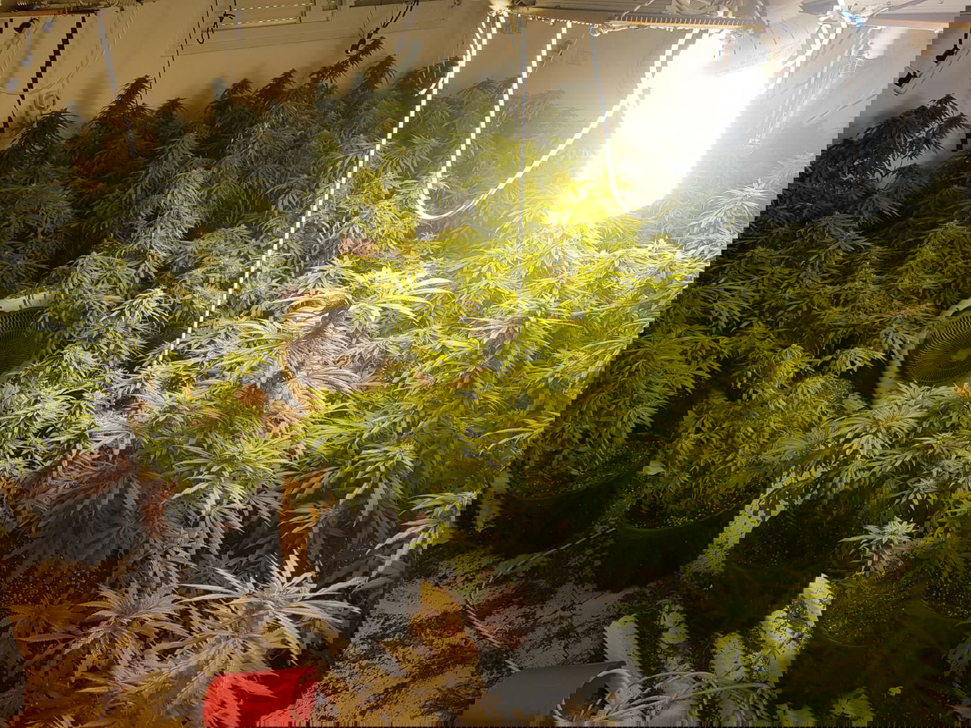 הדירה עם מעבדת הסמים