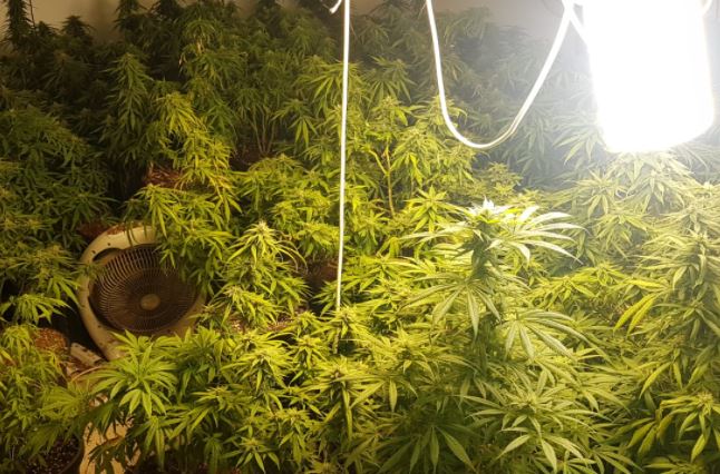 אימה בביתר: החזיק מעבדת סמים וכן חשוד בהצתת רכבים