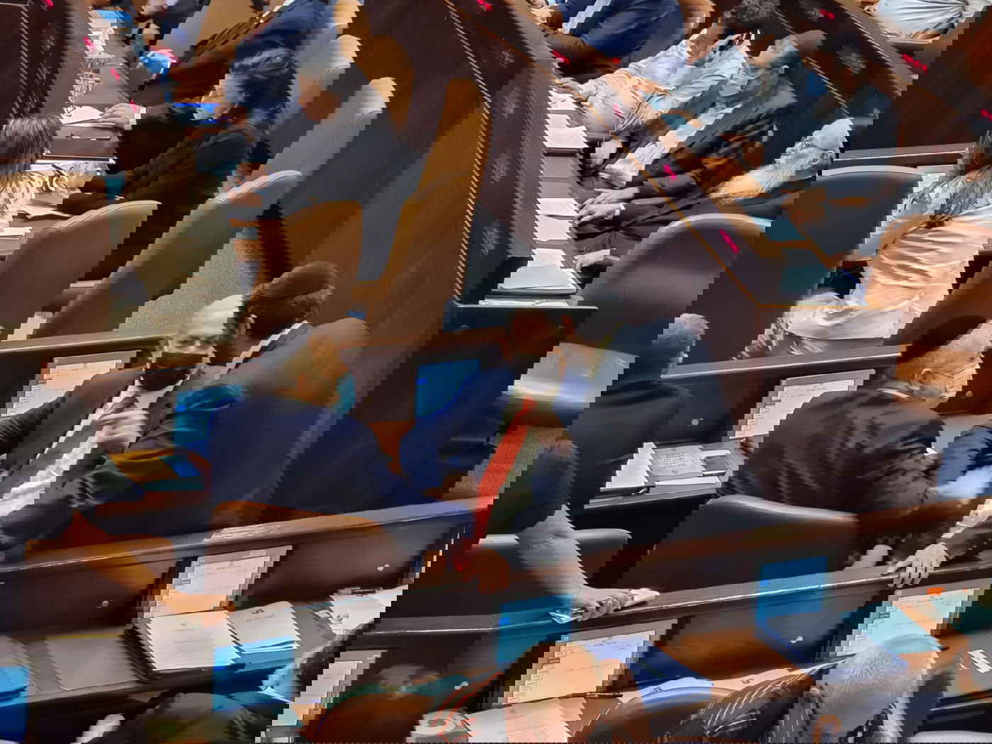 זופניק בכיכר • כל התמונות והנייעס של השבוע