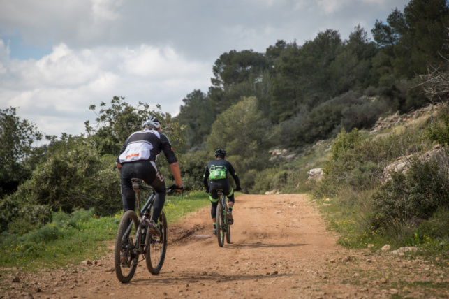 טיולים. אילוסטרציה
