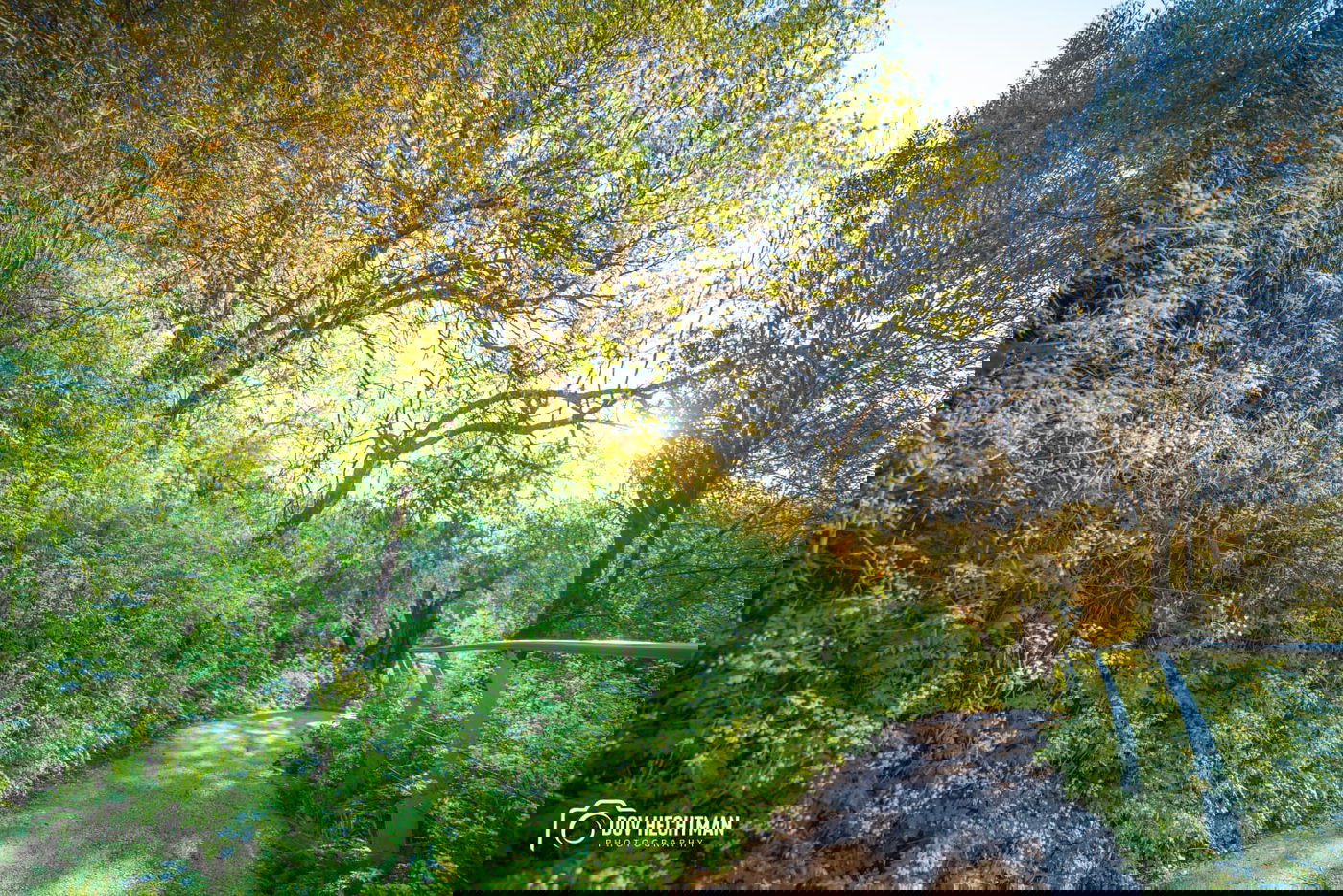 דובער הכטמן מציג: 3 שנים בצפת - ב-60 רגעים