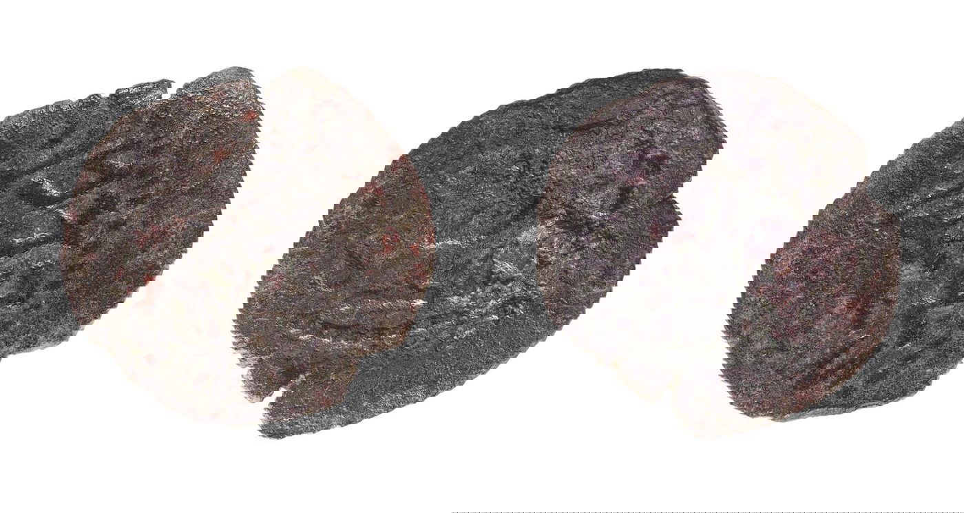 אחת המטבעות שהתגלו