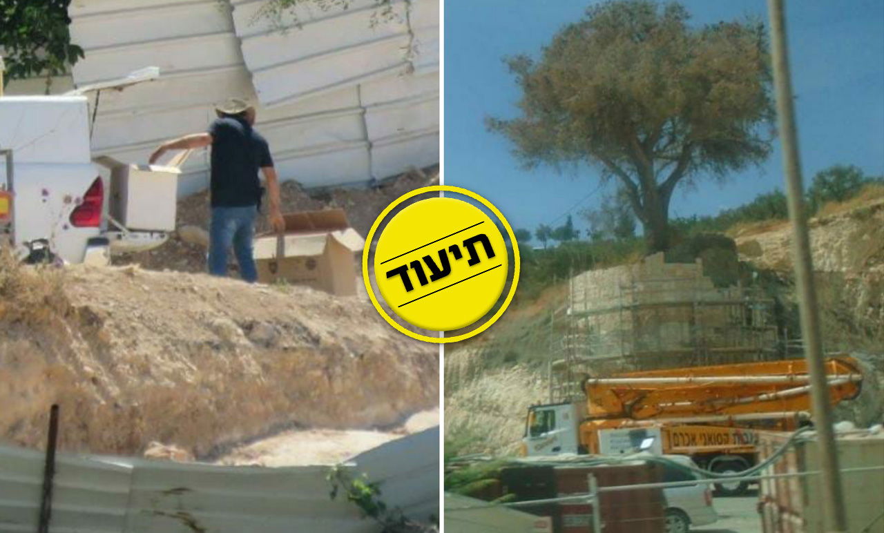 המפגינים זועמים: קברים ועצמות מחללים; עצים - משמרים