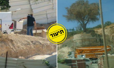 המפגינים זועמים: קברים ועצמות מחללים; עצים - משמרים