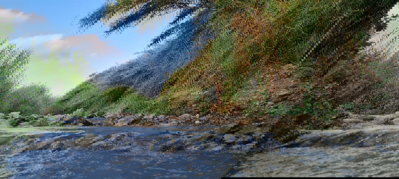 טיול לבין הזמנים: בואו לרחוץ ב'נחל תנינים'