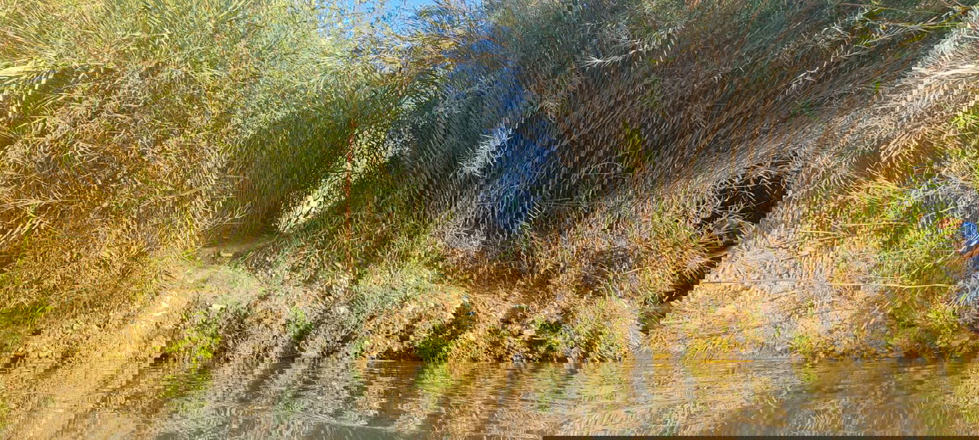 טיול לבין הזמנים: בואו לרחוץ ב'נחל תנינים'