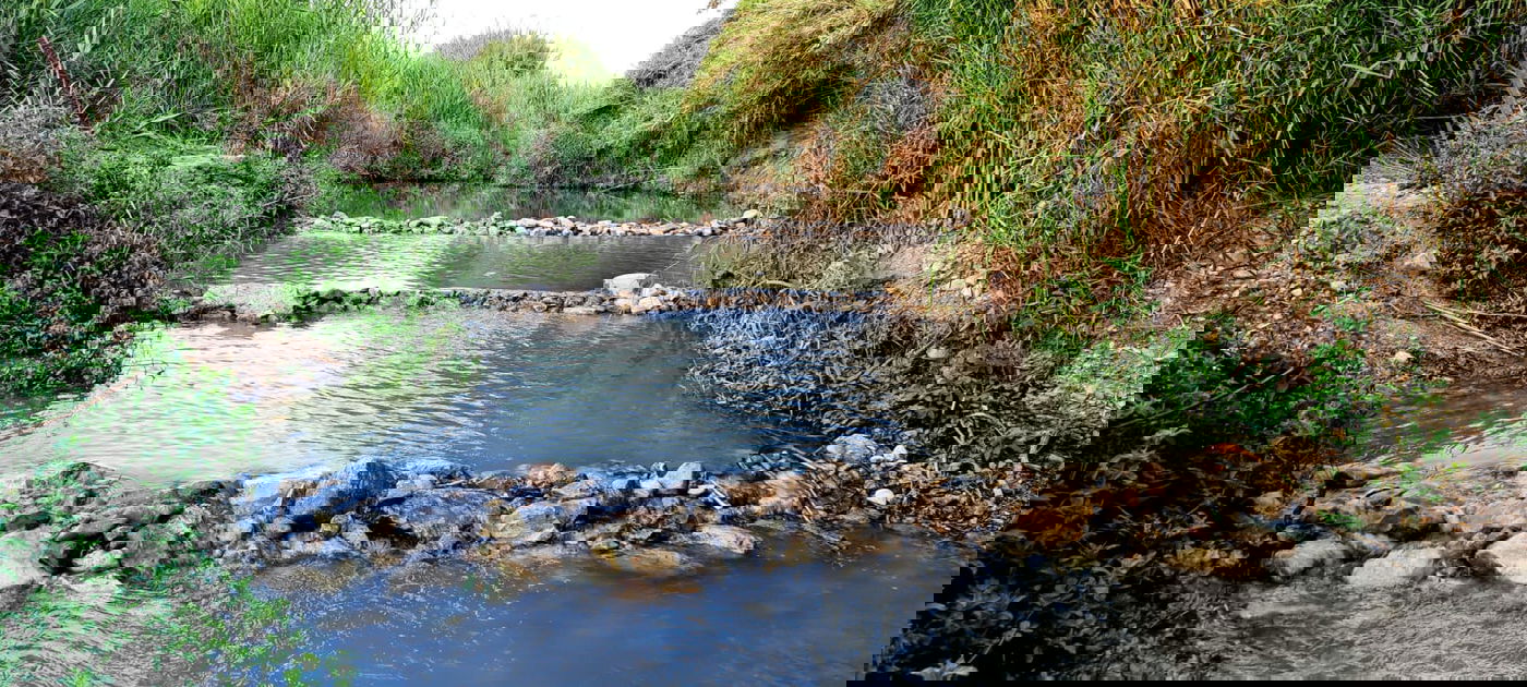 טיול לבין הזמנים: בואו לרחוץ ב'נחל תנינים'