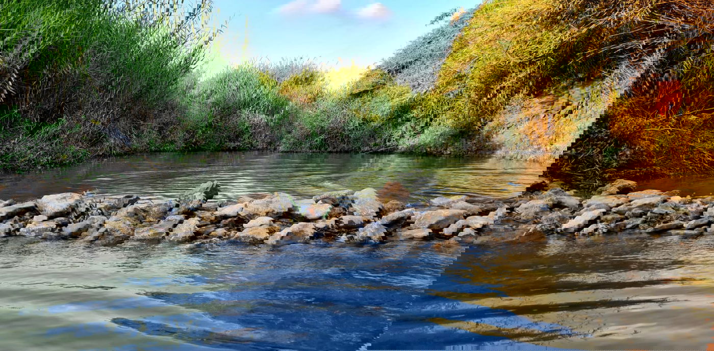 טיול לבין הזמנים: בואו לרחוץ ב'נחל תנינים'