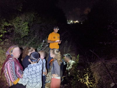 יום של חילוצים: המטיילים החרדים חולצו