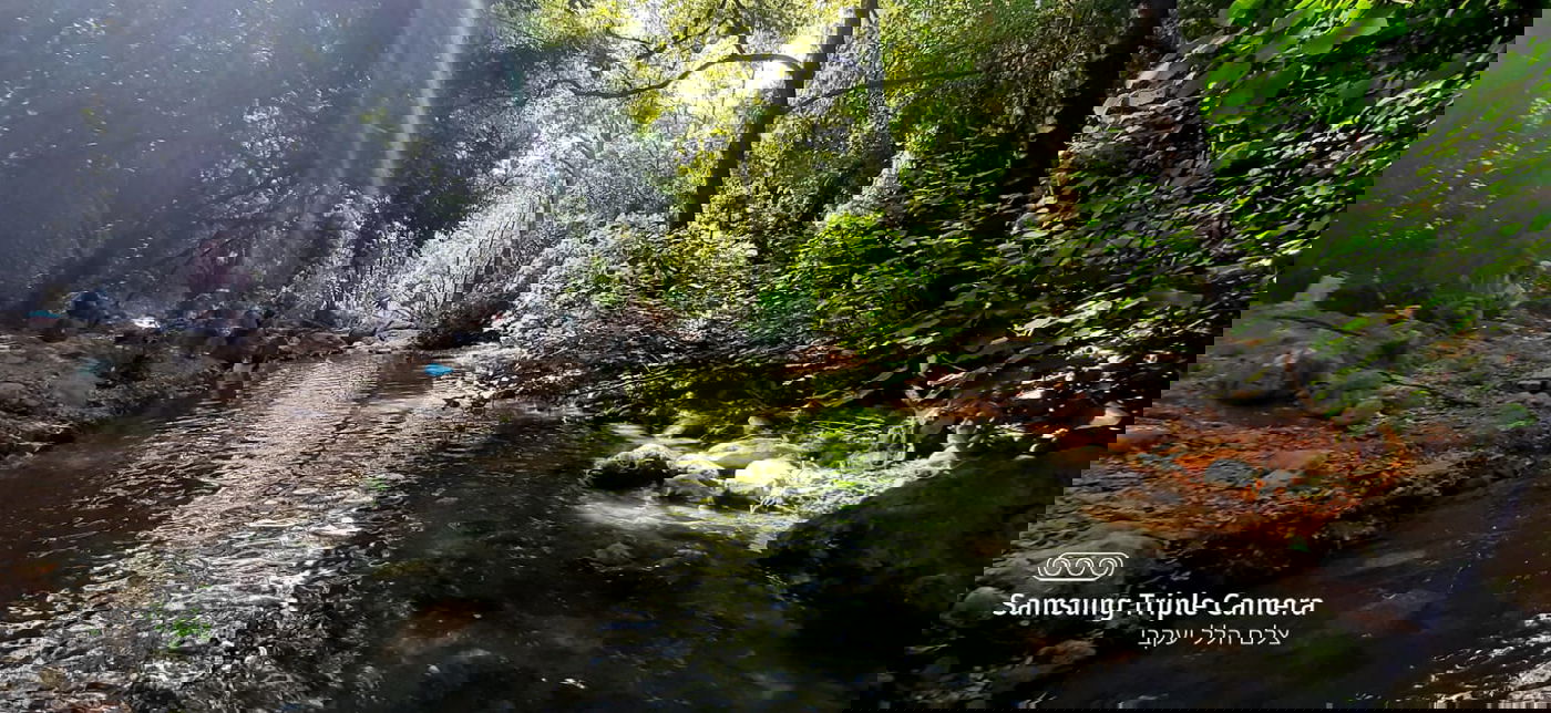 טיול לבין הזמנים: בואו לנחל של בני התורה