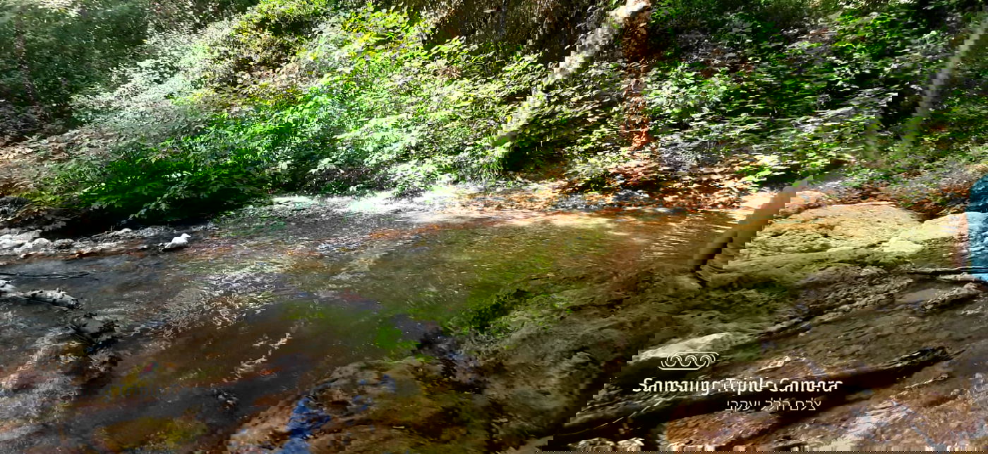 טיול לבין הזמנים: בואו לנחל של בני התורה