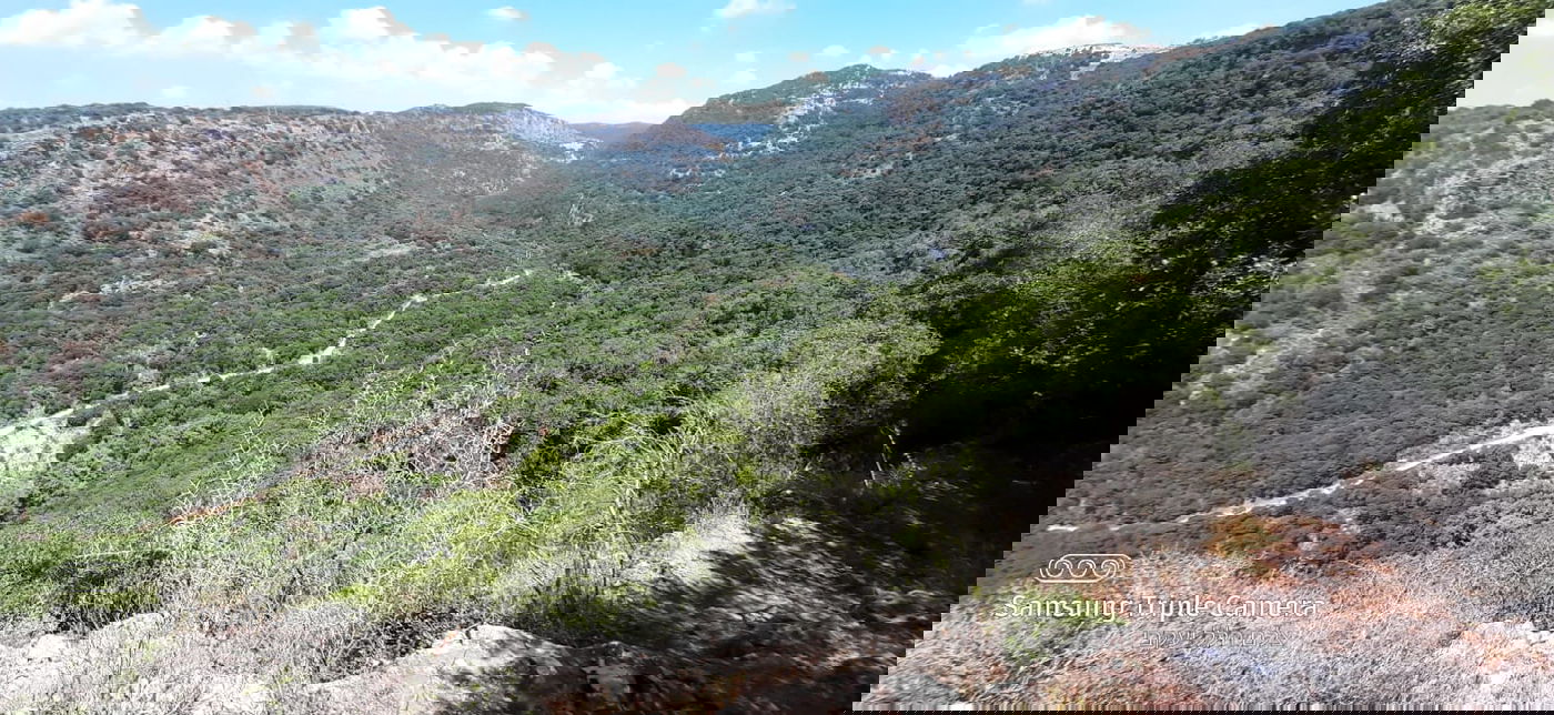 טיול לבין הזמנים: בואו לנחל של בני התורה