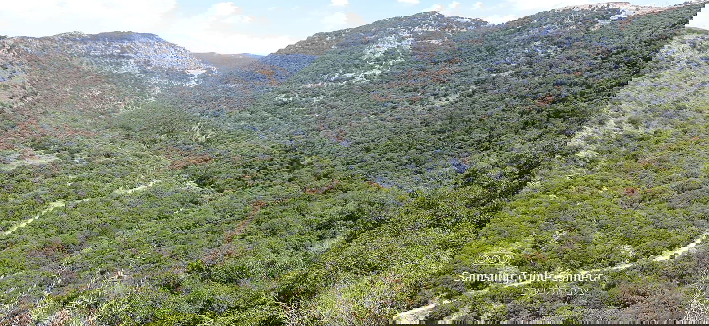 טיול לבין הזמנים: בואו לנחל של בני התורה