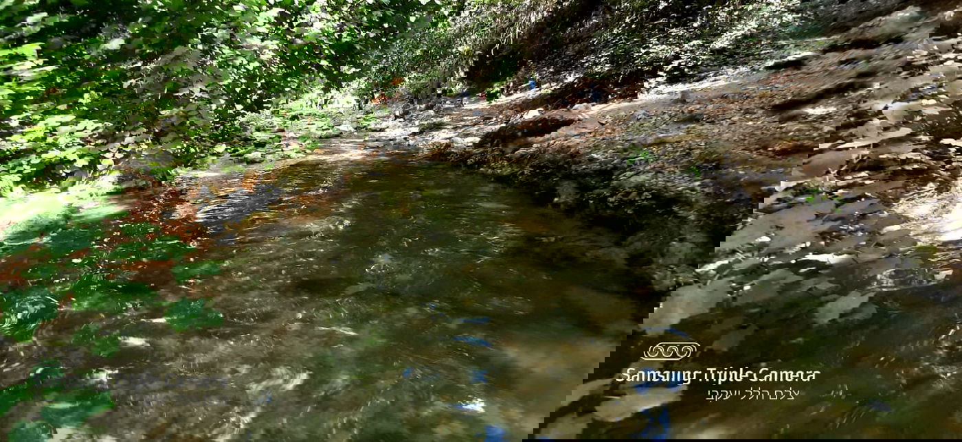 טיול לבין הזמנים: בואו לנחל של בני התורה