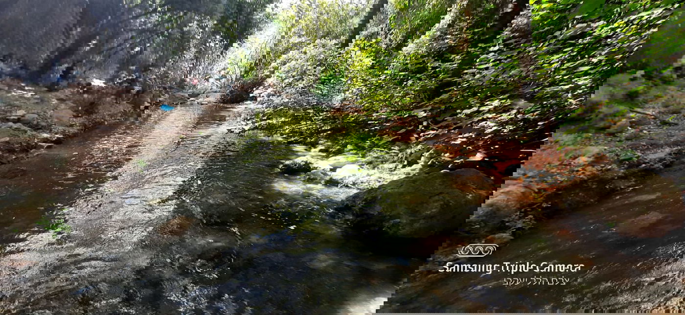 טיול לבין הזמנים: בואו לנחל של בני התורה