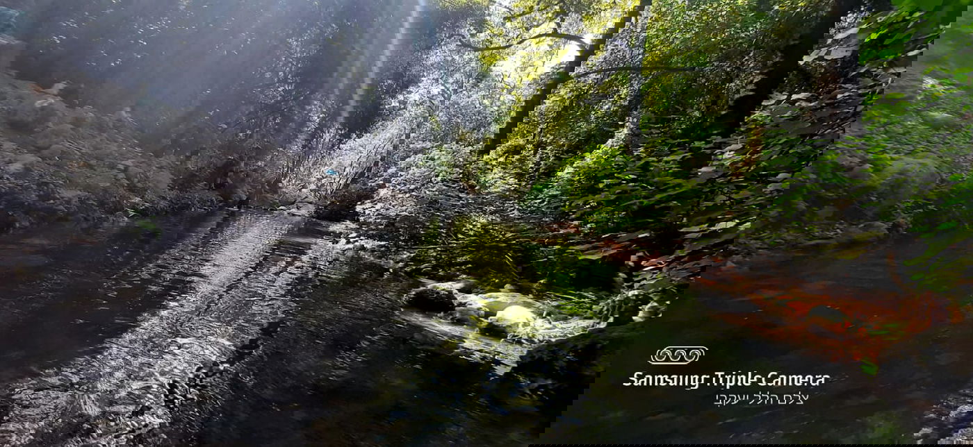 טיול לבין הזמנים: בואו לנחל של בני התורה