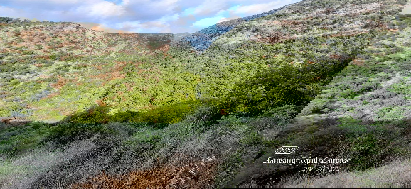 טיול לבין הזמנים: בואו לנחל של בני התורה