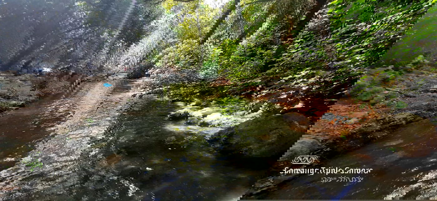 טיול לבין הזמנים: בואו לנחל של בני התורה