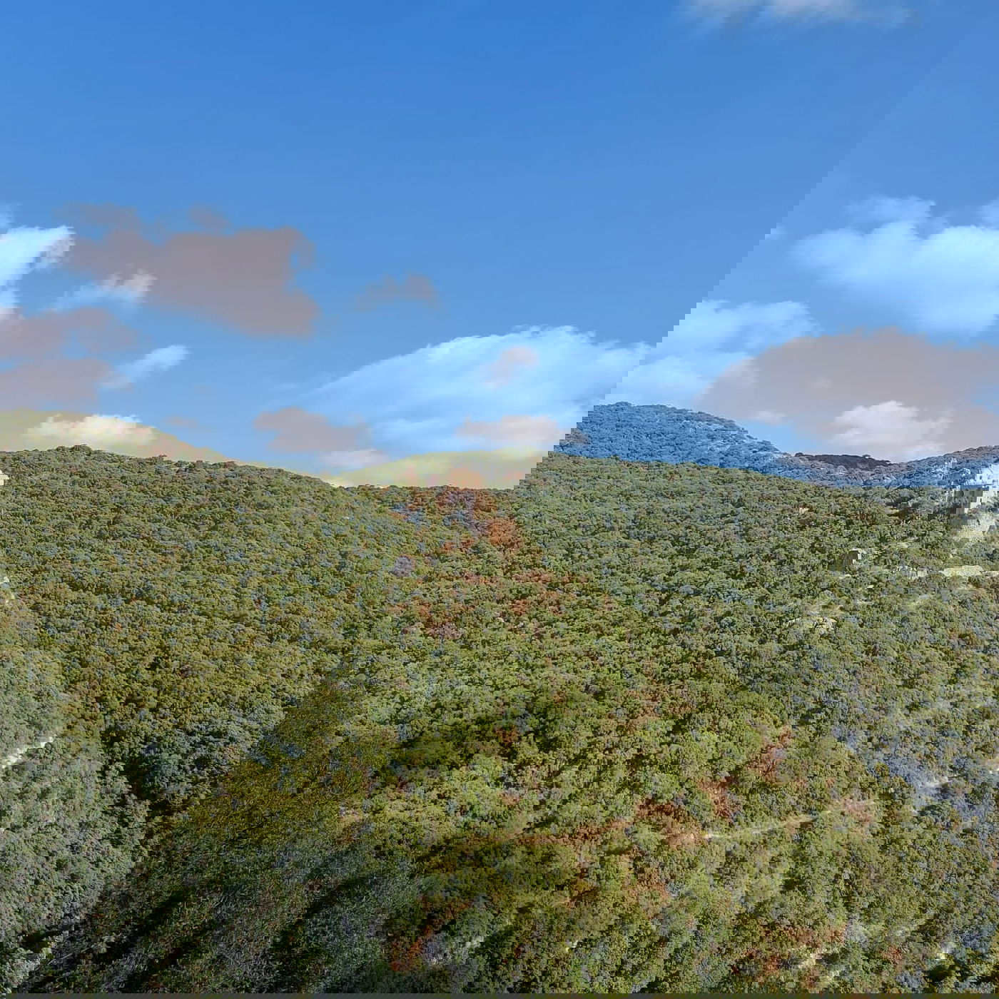 טיול לבין הזמנים: כך תטיילו ב'נחל כזיב'