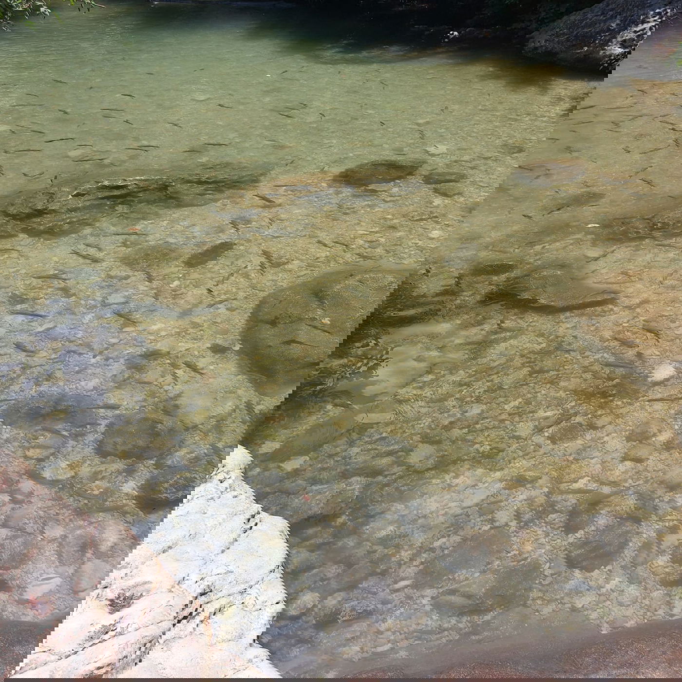 טיול לבין הזמנים: כך תטיילו ב'נחל כזיב'