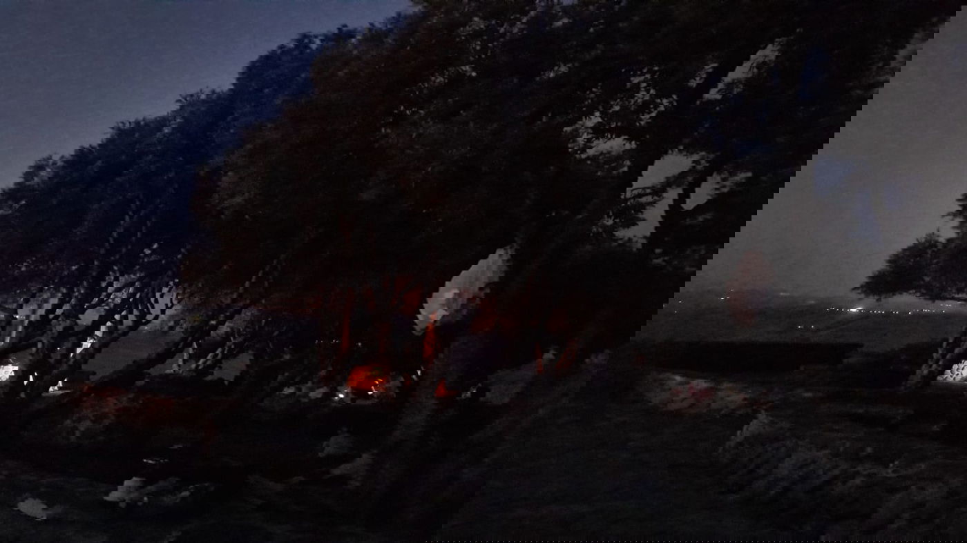 טיול בצפון בעדשת המצלמה; צפו בגלריה