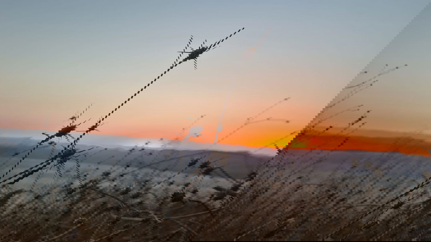 טיול בצפון בעדשת המצלמה; צפו בגלריה