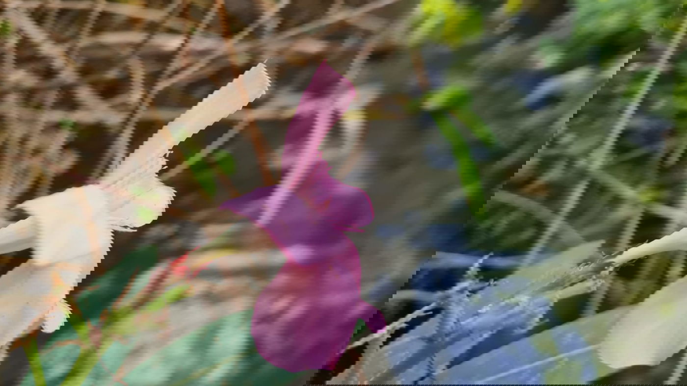 טיול בצפון בעדשת המצלמה; צפו בגלריה