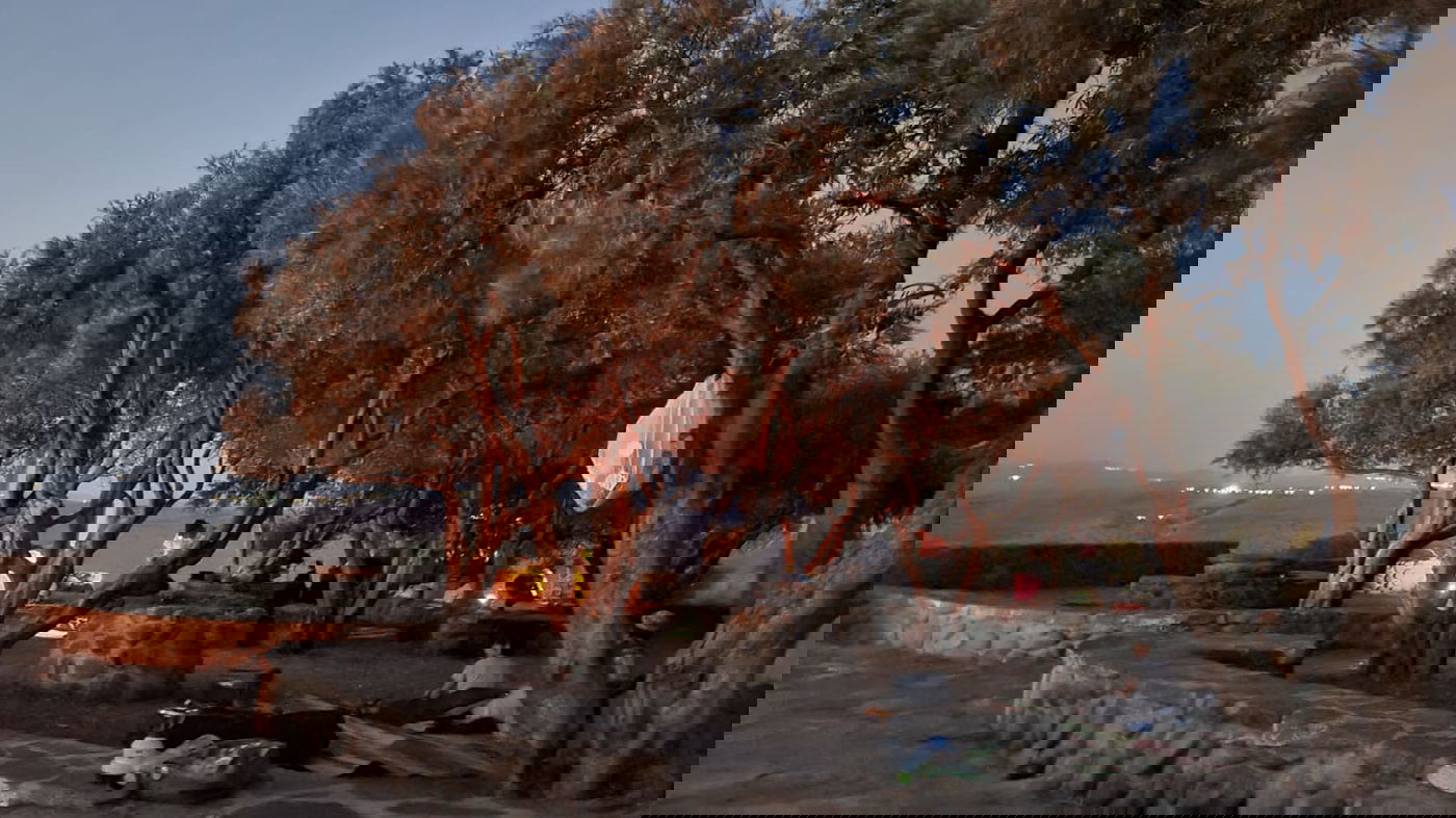 טיול בצפון בעדשת המצלמה; צפו בגלריה