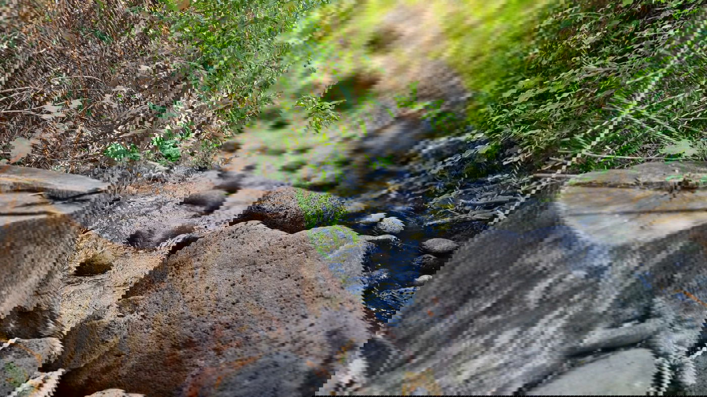טיול בצפון בעדשת המצלמה; צפו בגלריה